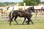 SBM_09088