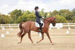 SBM_006797