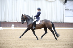 SBM_007381