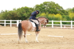 SBM_006469