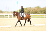 SBM_007421