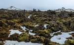 Snaefellsnesvegur lava field 1