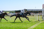 080726-Race 6-Velvet Rhythm-7803
