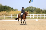 SBM_010420