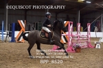 BPP_8520