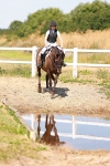 SBM_001013