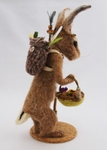 Wiber the Wise.  Photo 4.