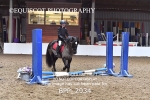 BPP_2934