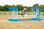 SBM_001079