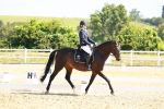 SBM_009691