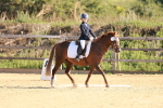 SBM_009178