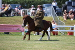 3E7A9732