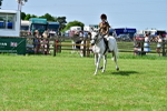 SBM_03807