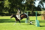 SBM_37536