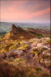 Ramshaw Pinks