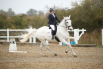 SBM_001337