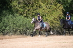 WJ6_8674
