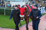 121225-Race 7-Lucky Manifest-7077