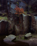 Quarry Wall