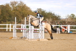 SBM_003944