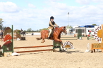 SBM_15213