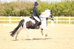 SBM_007874