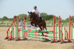 SBM_012398