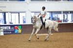Class 3 - Novice 5 portfolio