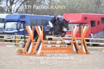 BPP_1311