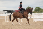 SBM_06395