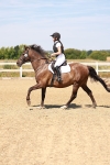 SBM_000988