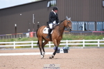 Sunday 2nd - Unaffiliated Classes portfolio