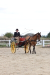 SBM_000771