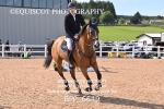 BPP_6649