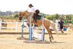 SBM_000795