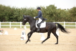 SBM_020309