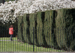 Pinces Gardens, Exeter