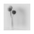 allium 1