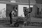 WORKING TOGETHER