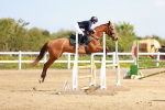 SBM_001555