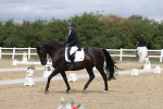 SBM_002931