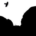 Avian Graphics portfolio