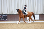 SBM_003901