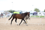 SBM_15265