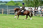 SBM_07928