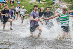 Dovedale Dash-97