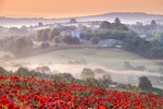 z4391 Misty Poppies and Carisbrooke Castle