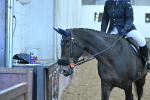 SBM_005824