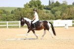 SBM_008590