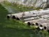 Bamboo, Kyoto Garden, Holland Park